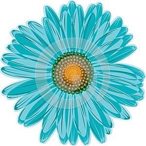 Aqua blue daisy flower photo