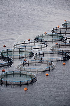 Aquaculture