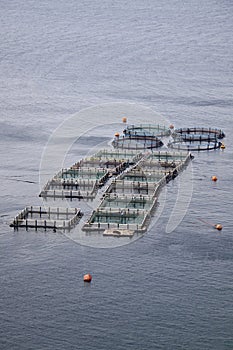 Aquaculture