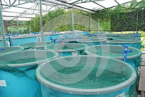 Aquaculture farm photo