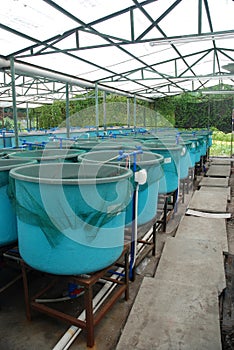 Aquaculture farm photo