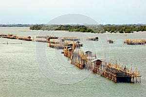 Aquaculture fishery pond in entrance river.