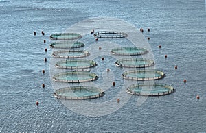 Aquaculture at Greece
