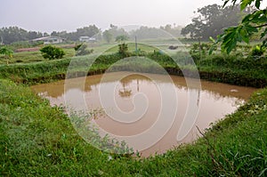 Aquaculture Natural Fish ponds