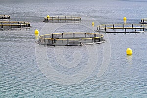 Aquaculture nets