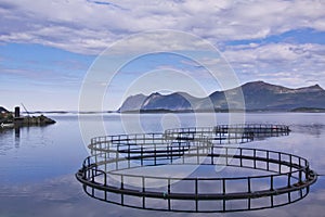 Aquaculture in Norway