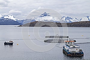 Aquaculture in Norway