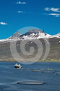 Aquaculture salmon fish farm