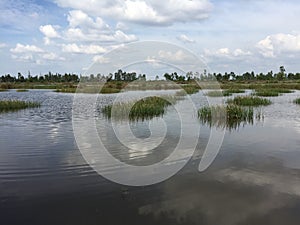 Aquaculture systems, extensive tiger shrimp culture farm