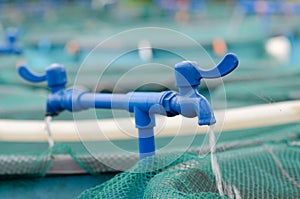 Aquaculture water system farm