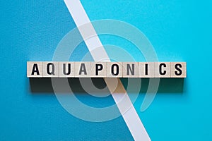 Aquaponics word concept on cubes