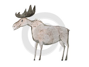 Aquarelle illustration of smiling moose or elk on white background