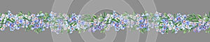 Aquarelle painted seamless Border with Forget-me-not flowers and green leaves