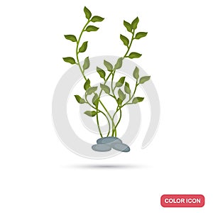 Aquarim weed color flat icon
