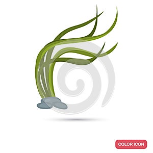 Aquarim weed color flat icon