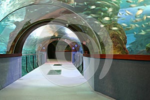 Aquarium