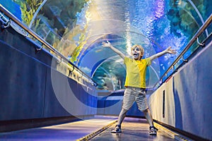 Aquarium and boy, visit in oceanarium, underwater tunnel and kid, wildlife underwater indoor, nature aquatic, fish