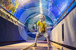 Aquarium and boy, visit in oceanarium, underwater tunnel and kid, wildlife underwater indoor, nature aquatic, fish