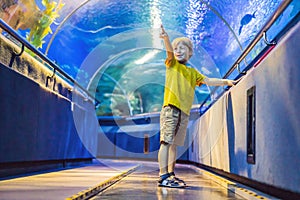 Aquarium and boy, visit in oceanarium, underwater tunnel and kid, wildlife underwater indoor, nature aquatic, fish