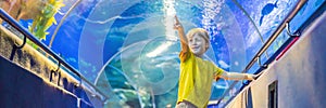 Aquarium and boy, visit in oceanarium, underwater tunnel and kid, wildlife underwater indoor, nature aquatic, fish