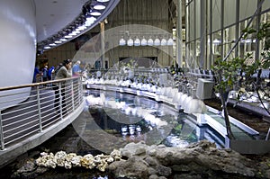 Aquarium in California Academy of Sciences