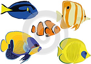 Aquarium colorful bright tropical fish collection vector illustration