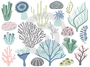 Aquarium corals and seaweed. Marine ocean coral flora, decor underwater seaweeds and different water plants cartoon