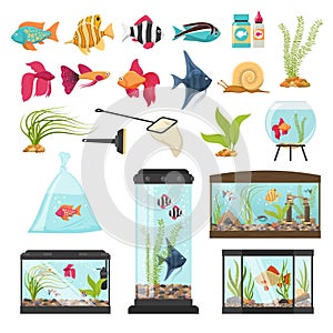 Aquarium Essential Elements Collection