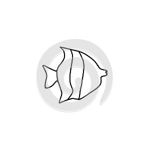 aquarium exotic fish thin line icon. exotic fish linear outline icon