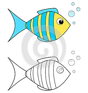 Aquarium fish colorful and black and white. Coloring book page for children. Colored and outline vector illustration isolated on