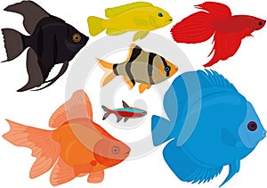 Aquarium colorful tropical fish collection barbus, scalare, neon, diskus, cichlid, betta, goldfish vector illustration