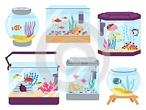 Aquarium fish. Colourful fish in tank, algae and tropical goldfish in seawater. Beautiful pet, ocean underwater world in