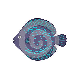 The aquarium fish discus blue violet