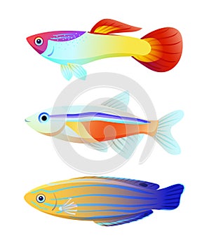 Aquarium fish silhouette isolated on white icons