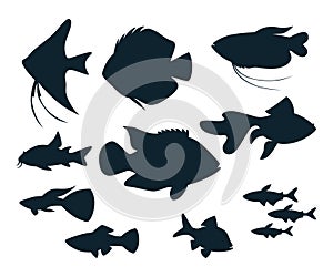 Aquarium fish silhouettes