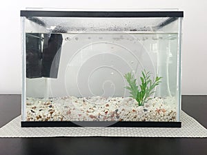 Aquarium fish tank full of water photo