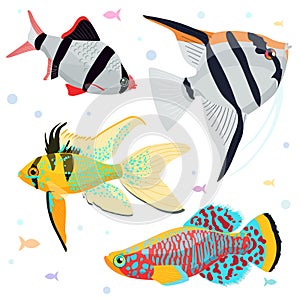 Aquarium fishes: great collection of highly detailed illustrations with tropical tank fishes.