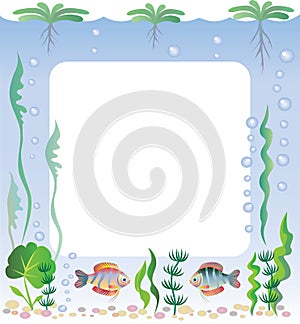 Aquarium frame
