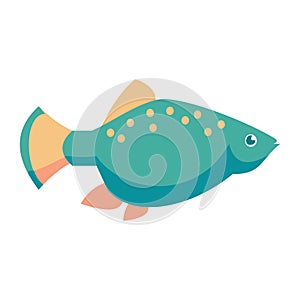 Aquarium mollies fish isolated on white background. Cartoon vector illustration