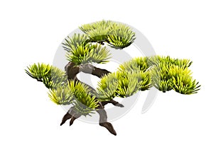 Aquarium Ornament(Bonsai Tree)