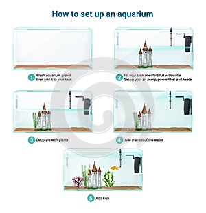 Aquarium Setup Realistic Infographics