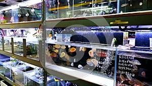An aquarium shop in Hong Kong