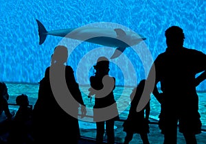 Aquarium Spectator Silhouettes