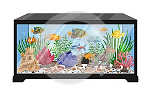 Aquarium Tank Cartoon Illustration