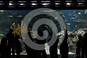 Aquarium in Temaiken