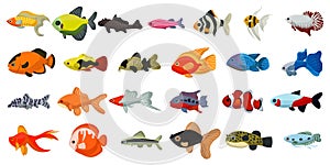 Aquarium tropical fish and cartoon ocean cute collection. Sea coral reef animals and underwater vector illustration. Water