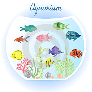 Aquarium with watercolor fish and algae.