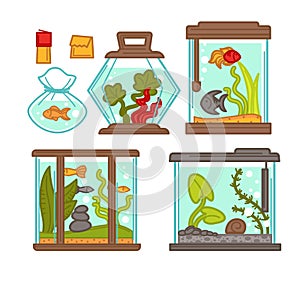 Aquariums set with flora and stones vector illustration