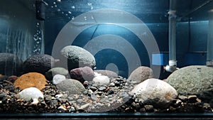 Aquascape with the concept of natural river stones