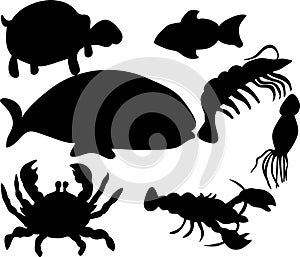 Aquatic animals